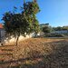 Drumul Taberei, Ghencea, ocazie, intravilan, 600 mp